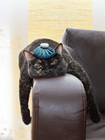 Break the Bad Data Cycle: Keys to Boosting Accuracy in GG0130 and GG0170